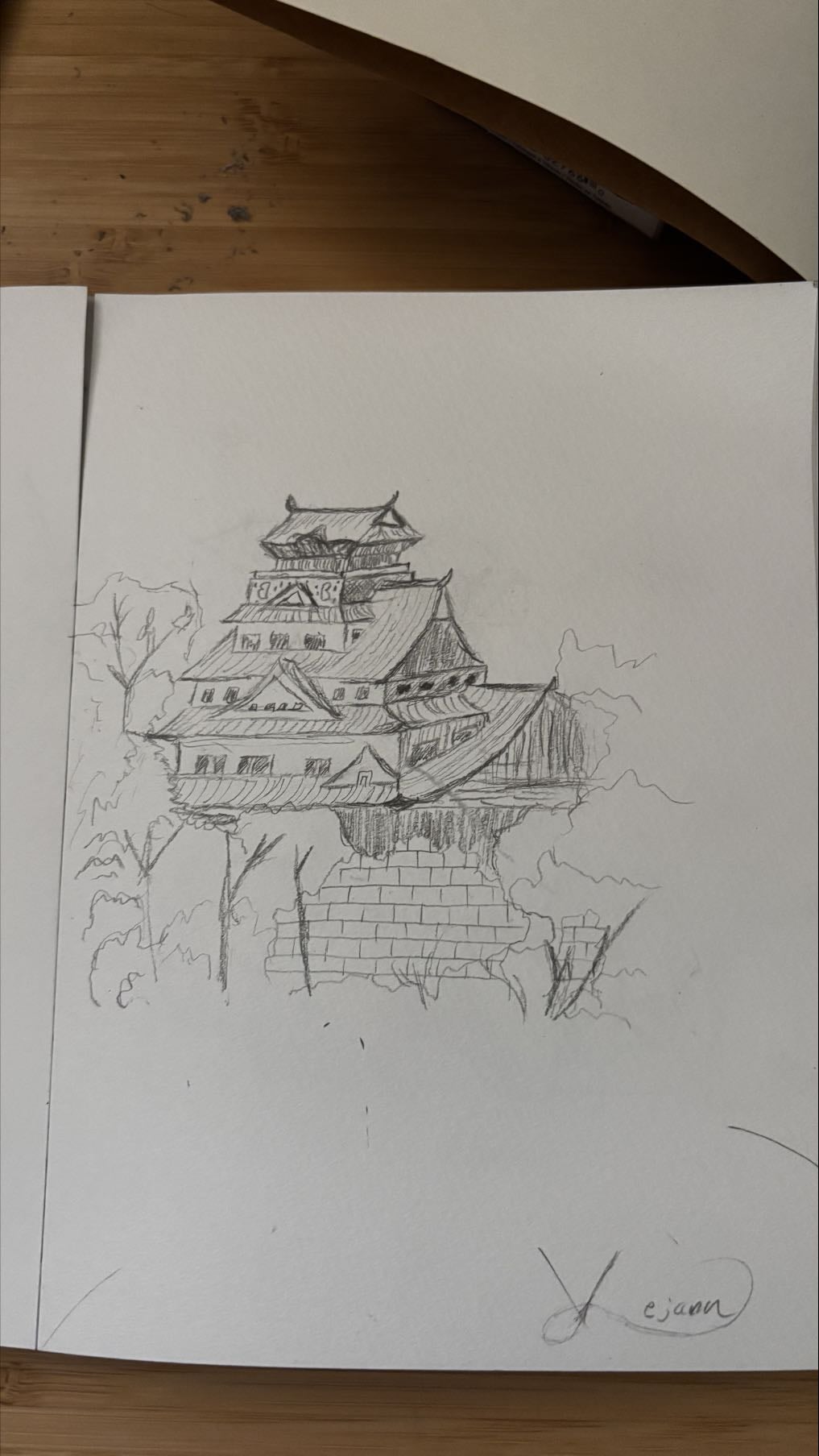 Japanese castle