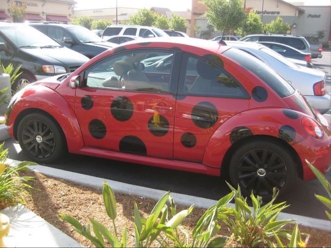 Get a car