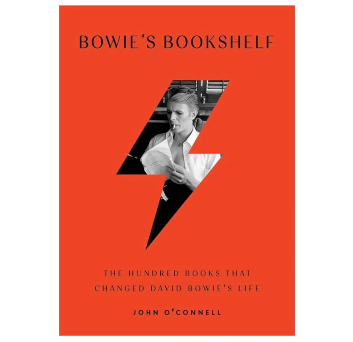 Bowie's Bookshelf - Art
