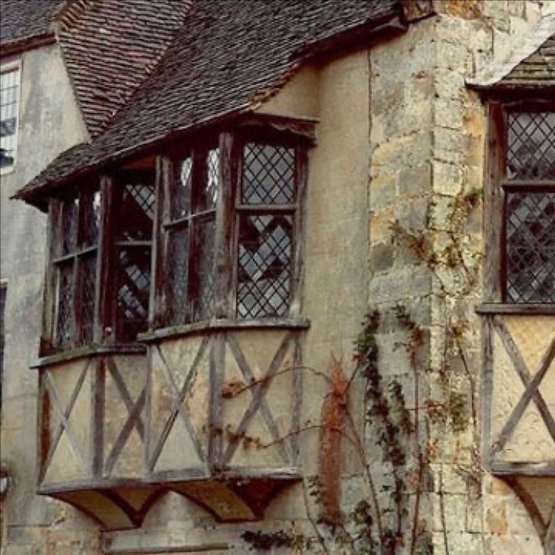 teenage rebellion of the middle ages