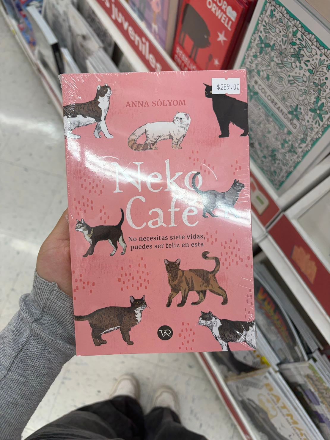Neko caf茅