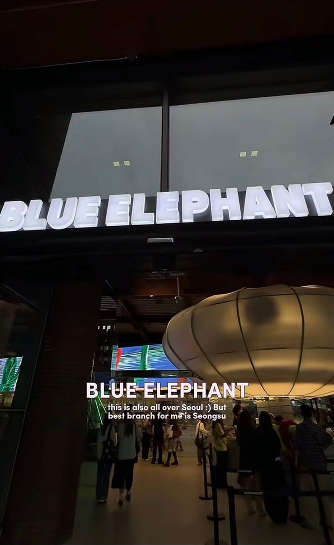 BLUE ELEPHANT - glasses