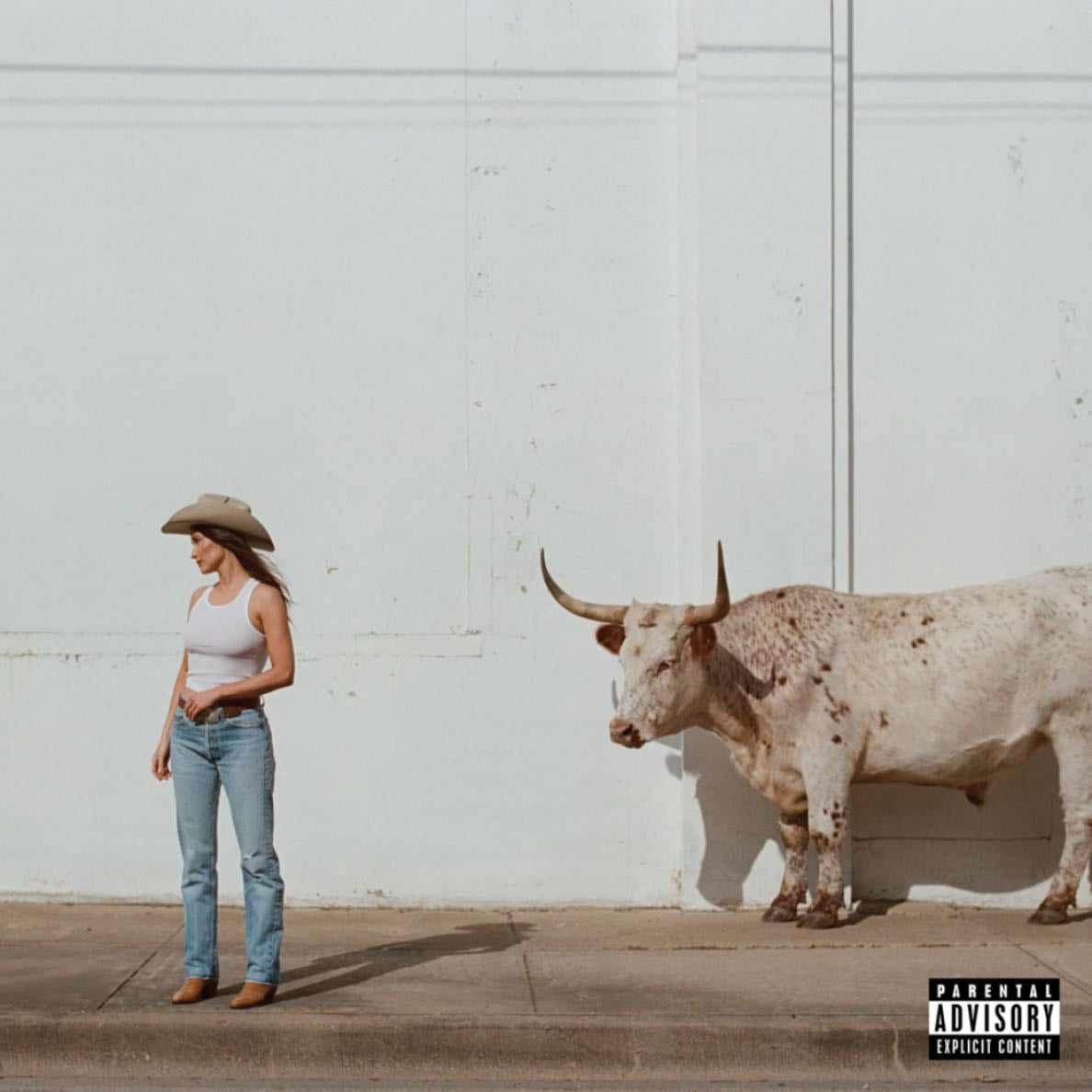 Middle of Nowhere - Kacey Musgraves - 7.5/10