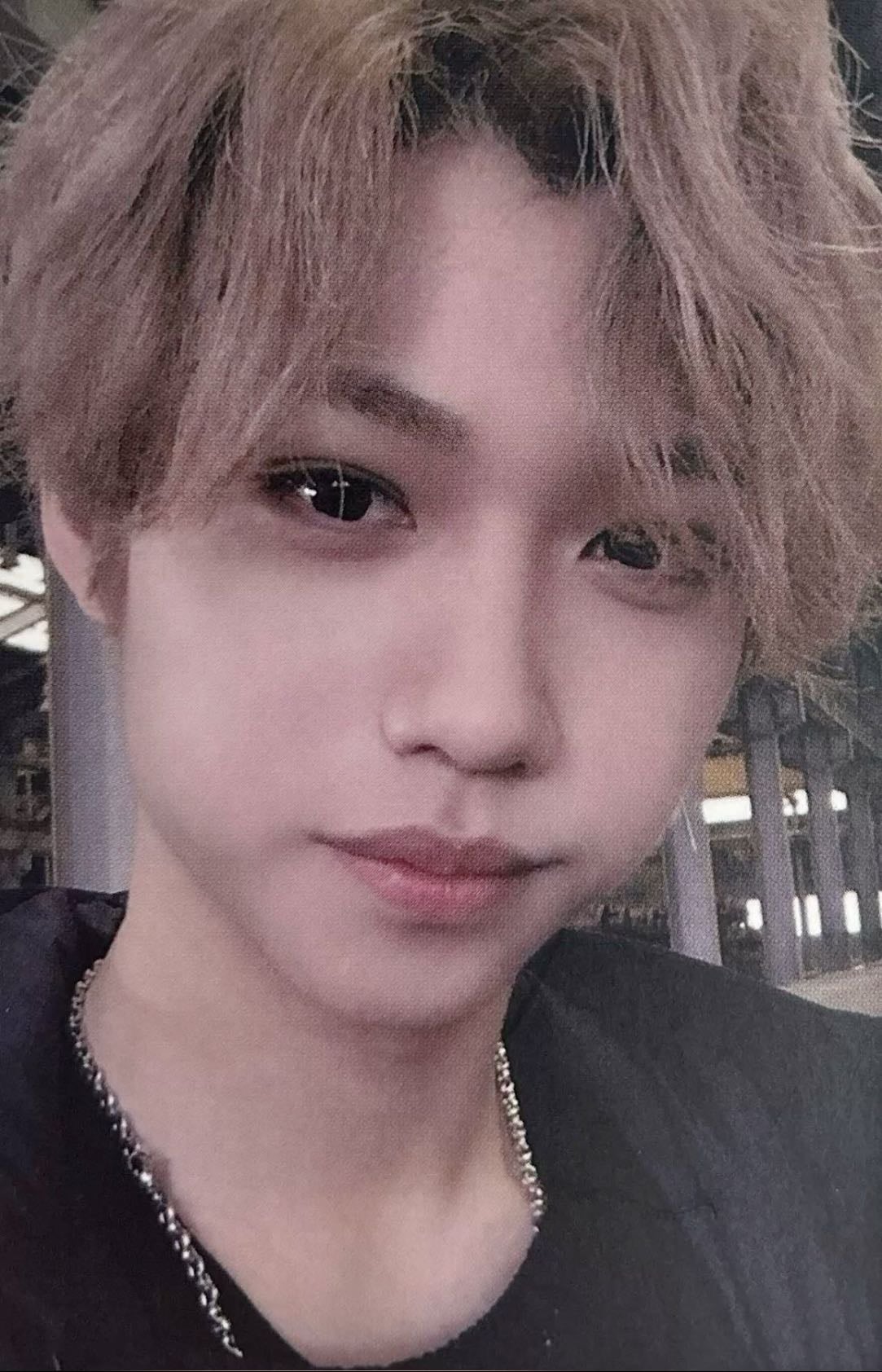 •felix i am not - from: ceg felix pookie