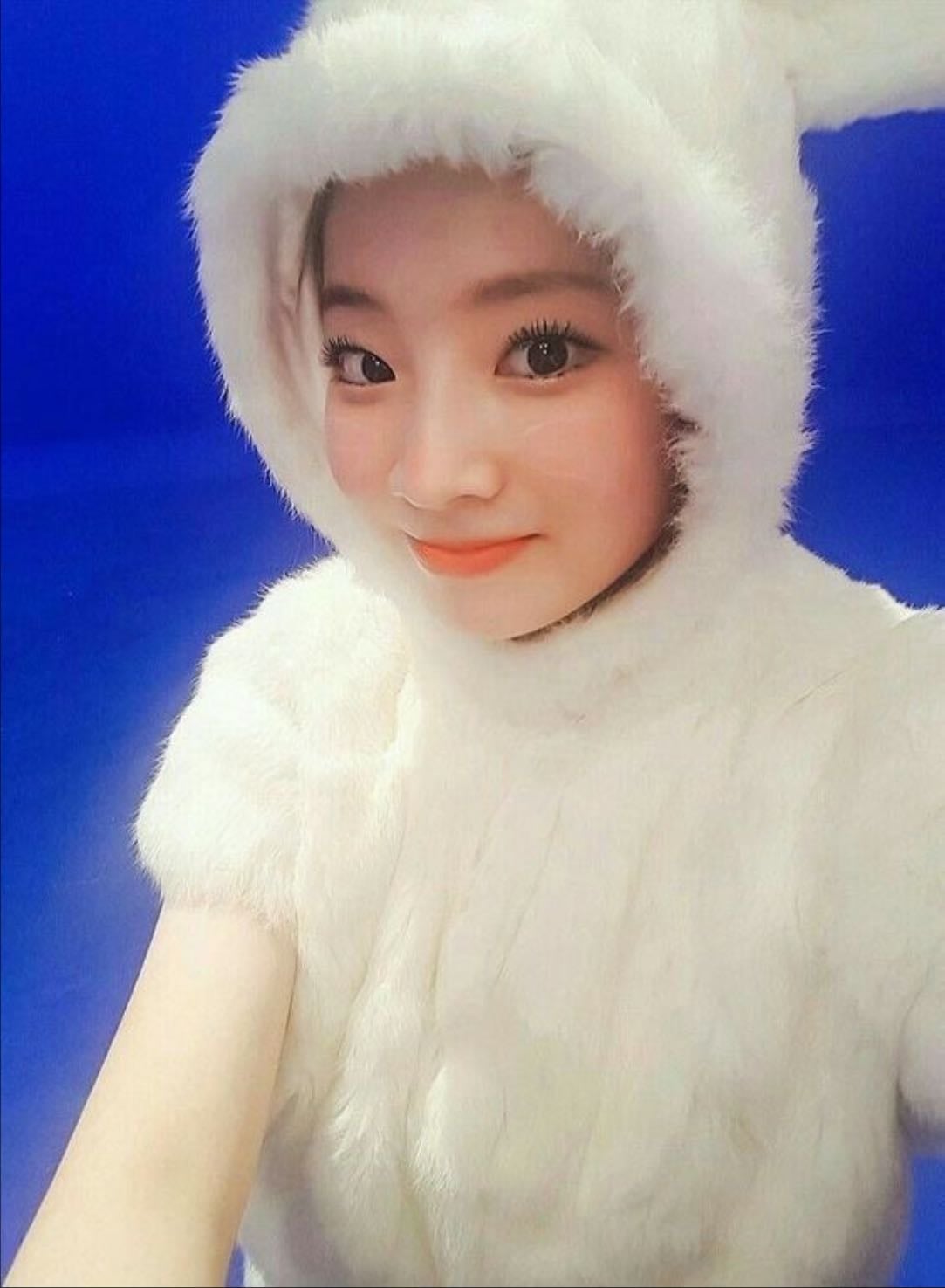 •dahy bunny - from: sunrise ruby cegs