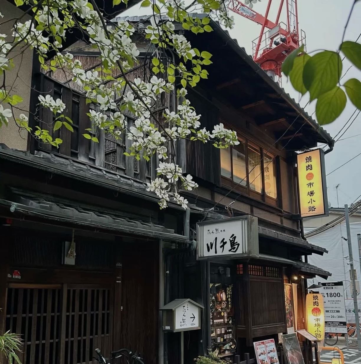 japan tripೃ࿔❀