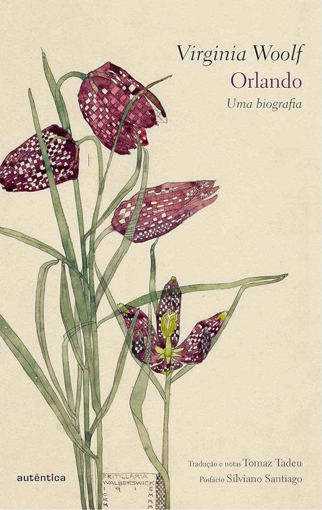orlando: uma biografia - virginia woolf