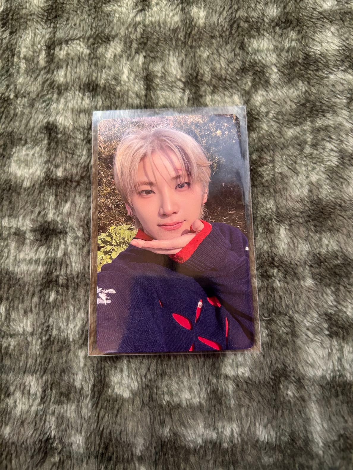 🌸 pob weverse à venir