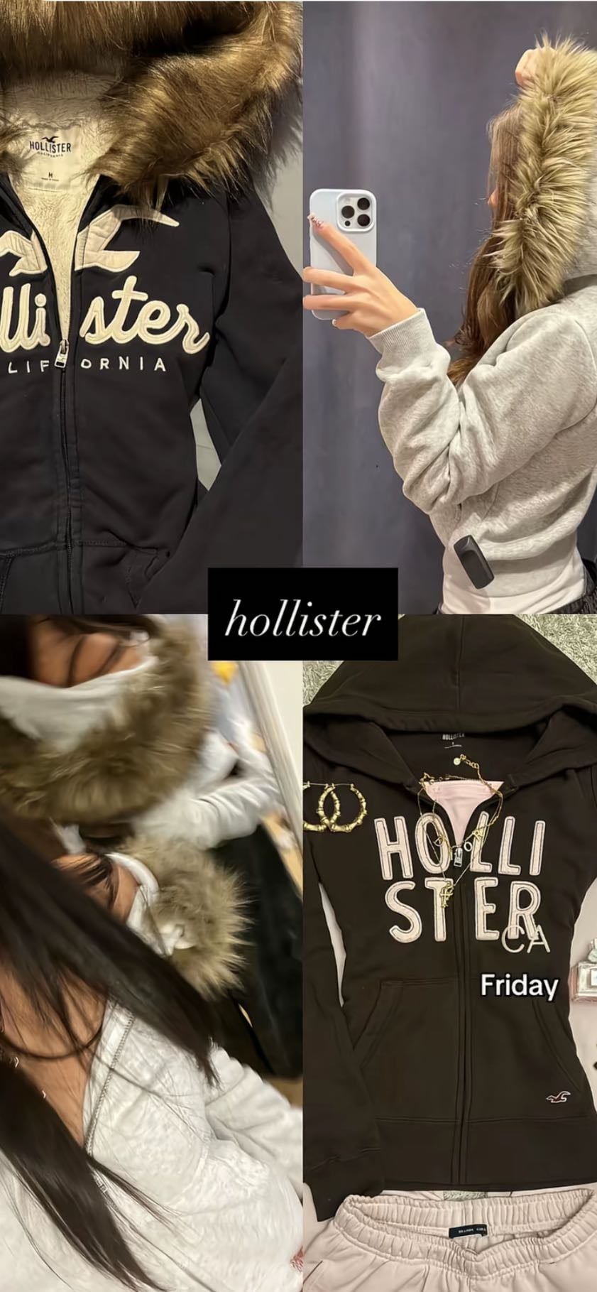 Holliester