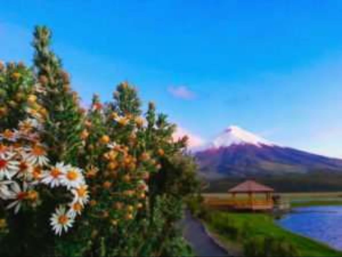 Cotopaxi flower tour