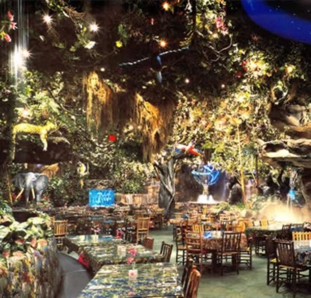 rainforest cafe