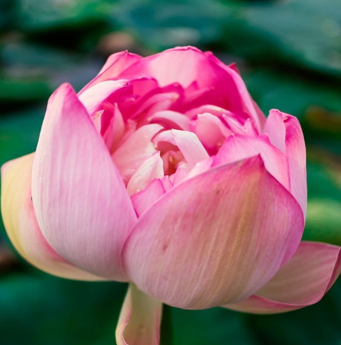 Affirmations & Manifestations - Other hypelist by Sheyla