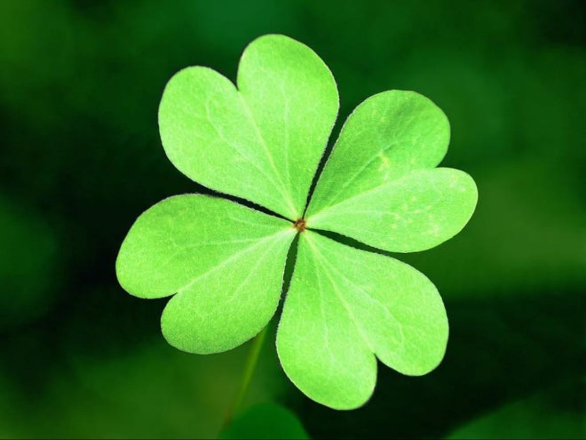 I am lucky