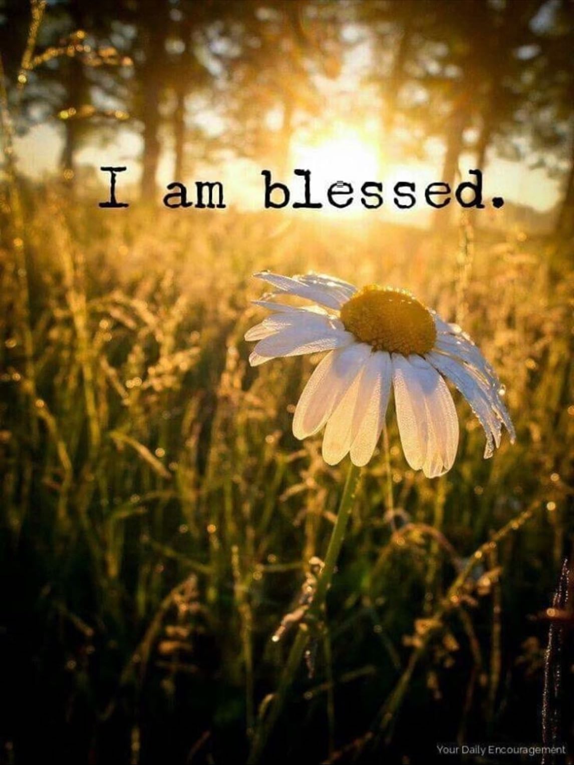 I am blessed
