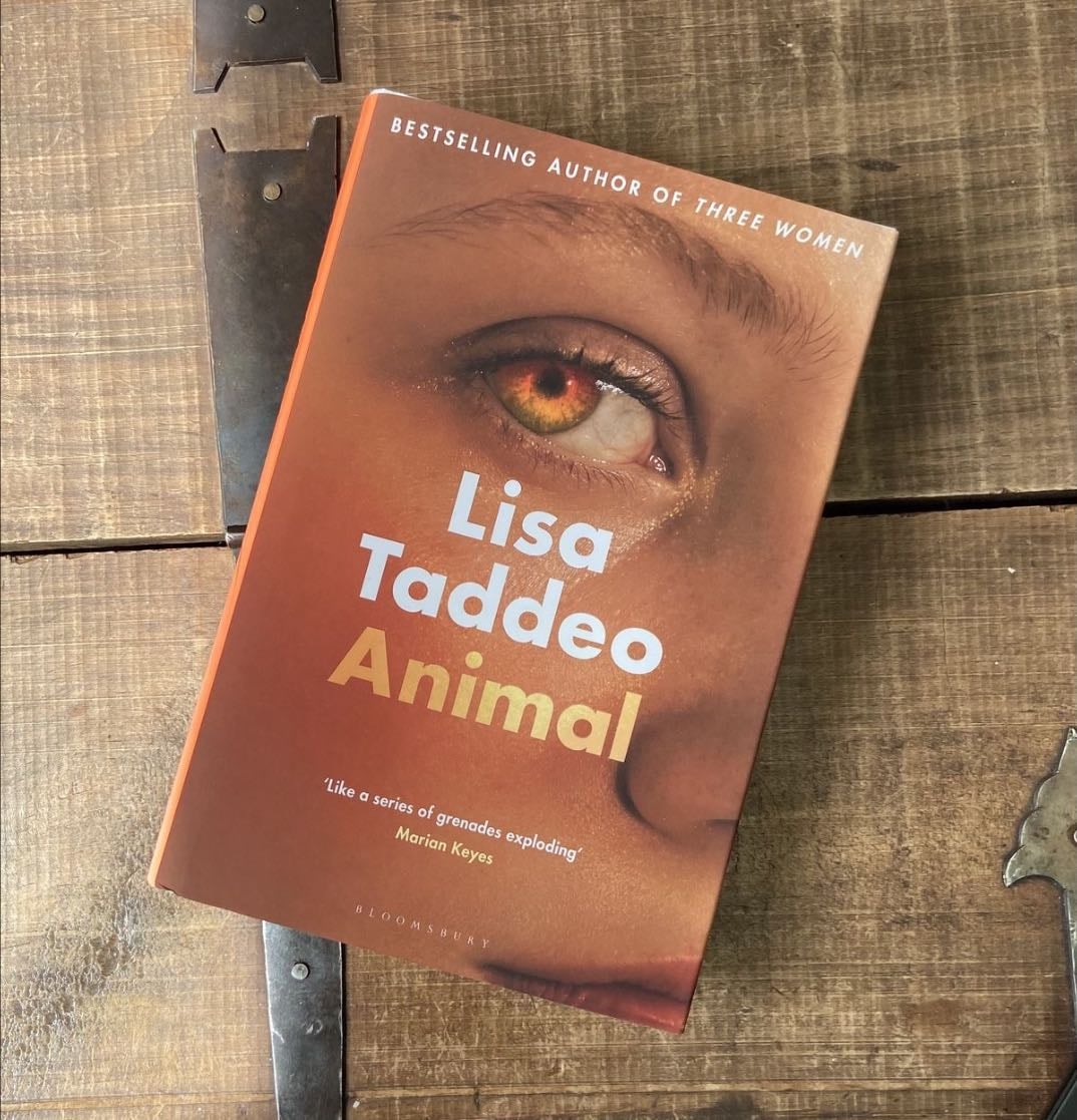 Animal by Lisa Taddeo - fúria feminina