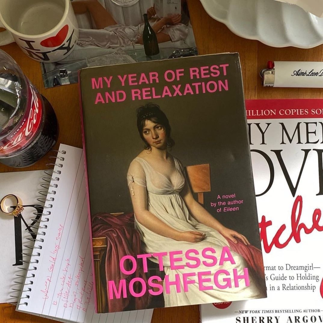 My year of rest and relaxation by Otessa Moshfegh - girl, so confusing