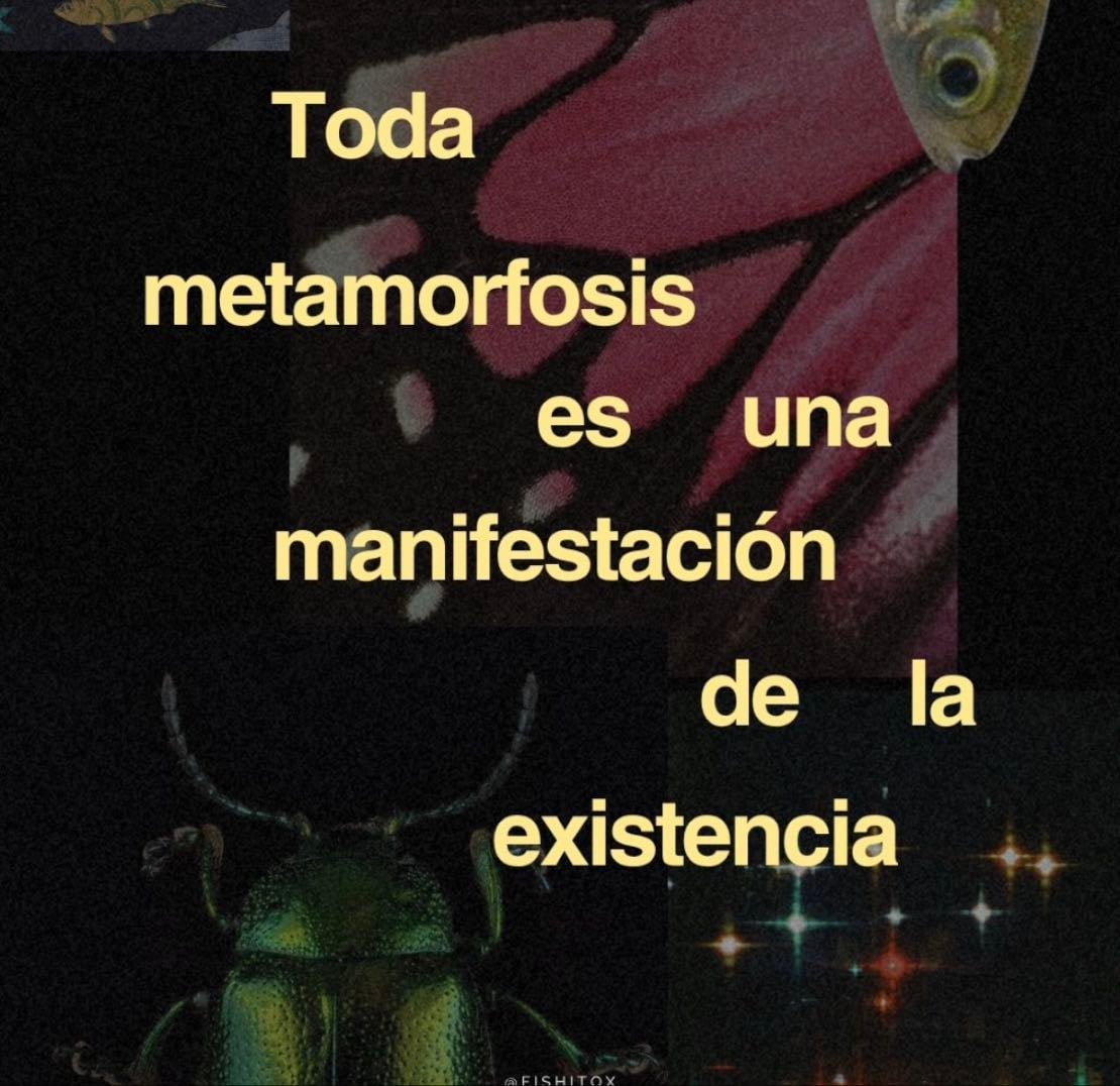 Metamorfosis