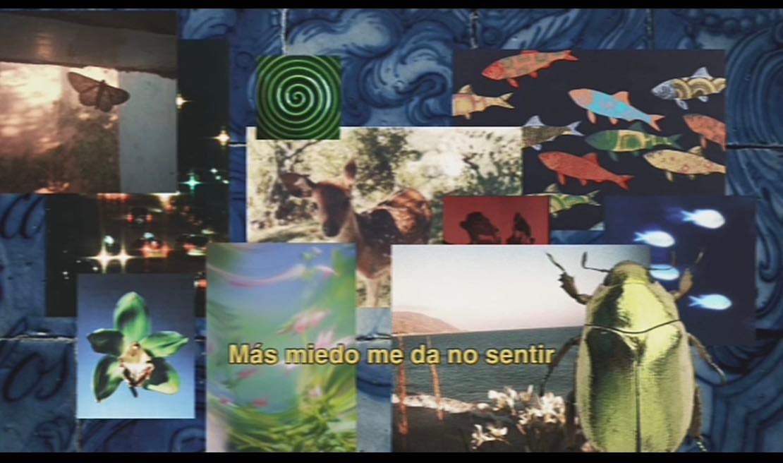 Miedo