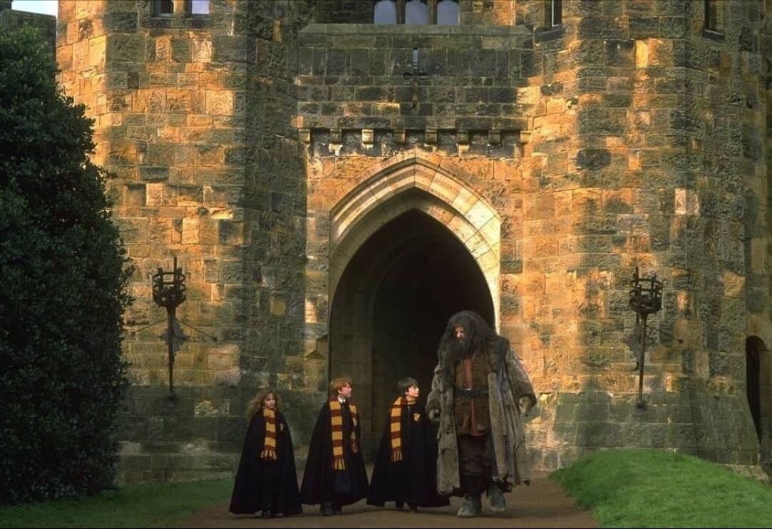 Harry Potter and the Philosopher's Stone - Chris Columbus ยท 2001