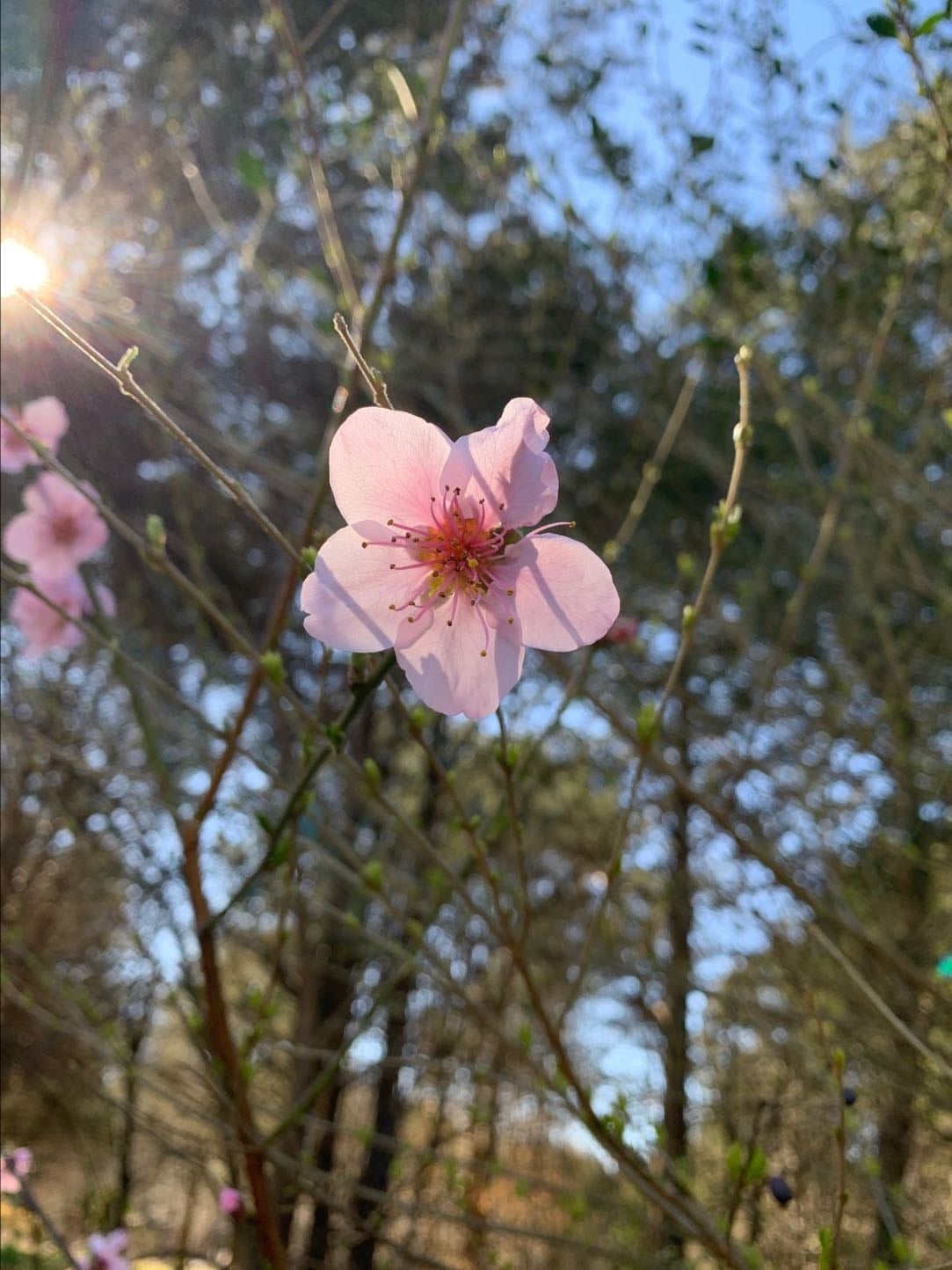 look for early signs of spring - 02/28