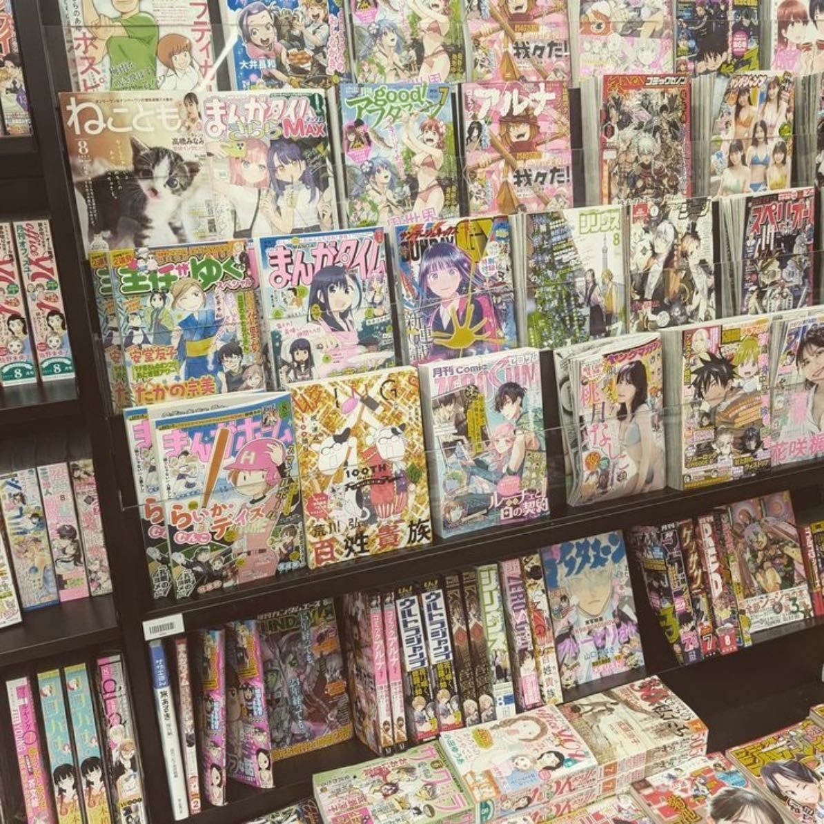 Reading Manga