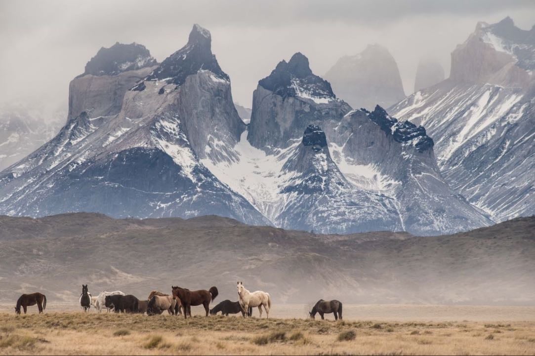 Patagonia