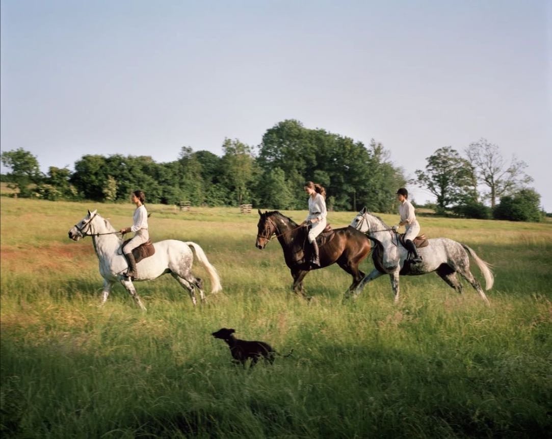 Cotswolds