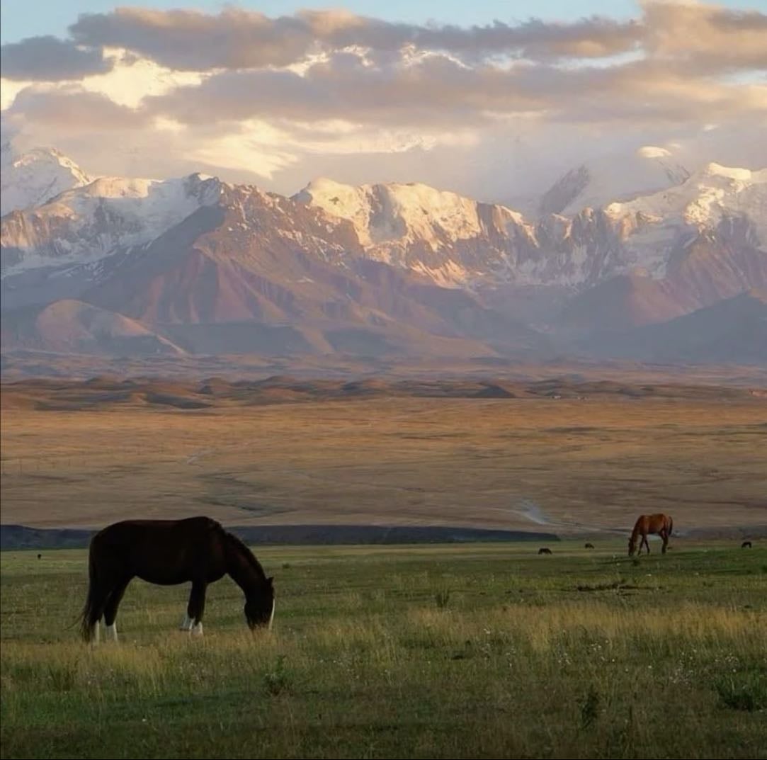 Montana