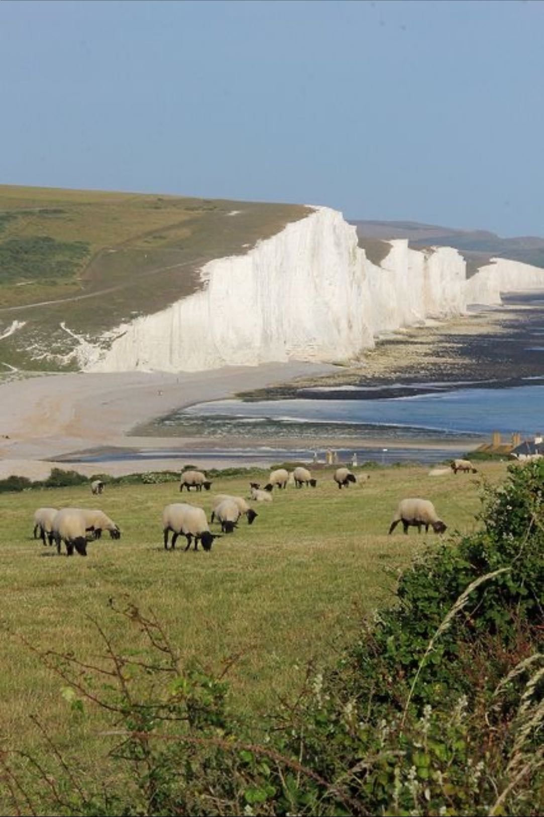 Seven Sisters Cliffs