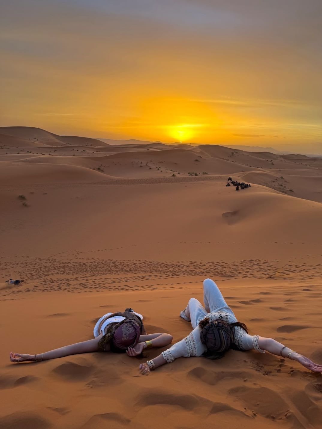 Sleep under the stars in the Sahara Desert