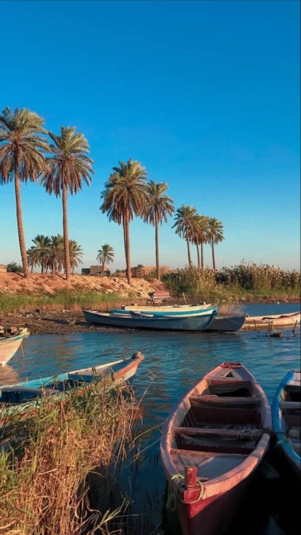 Ride one of those small boats on the Nile and row it around