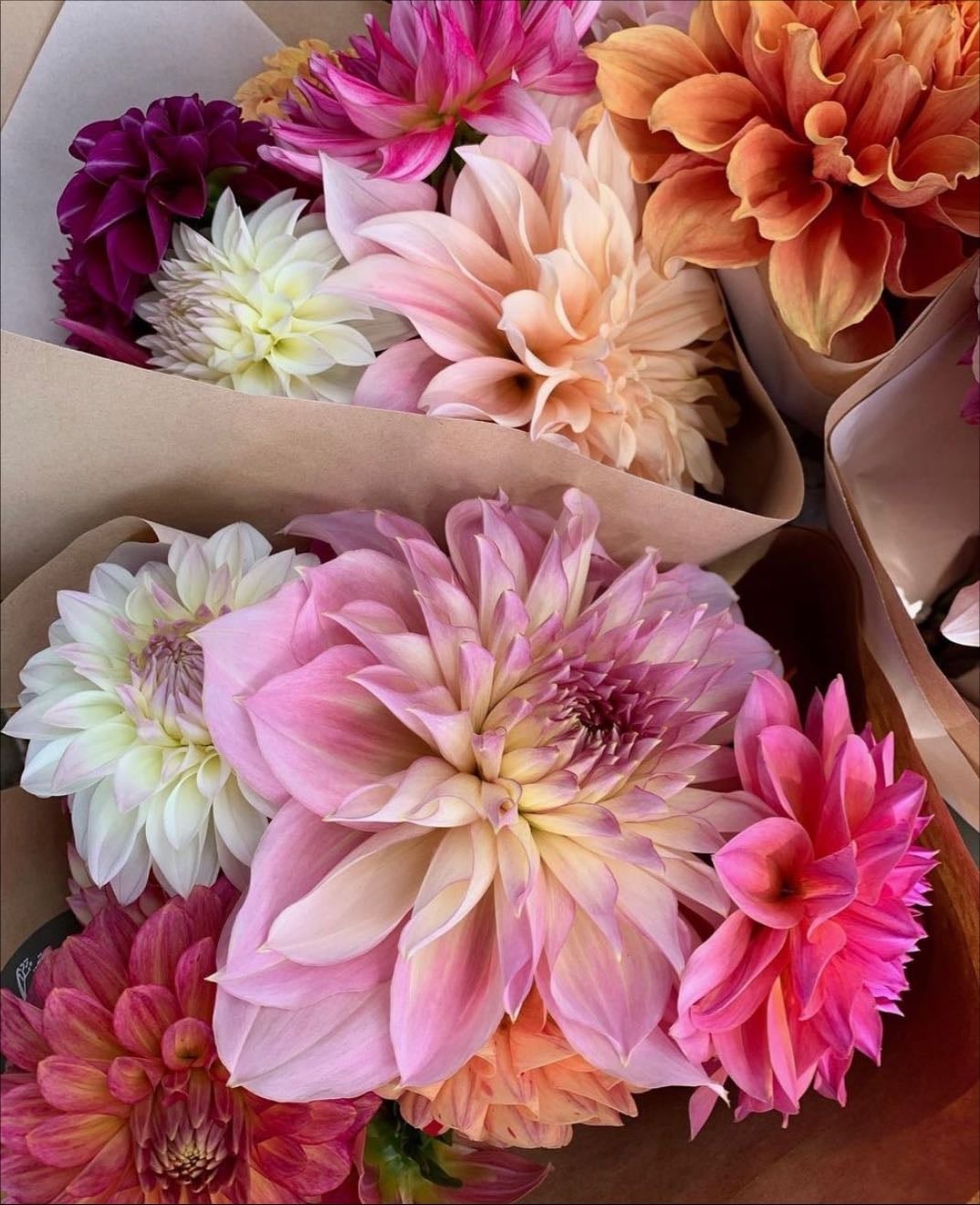 Flowers - A beautiful soul who looks good smells good and each one has it’s own meaning.