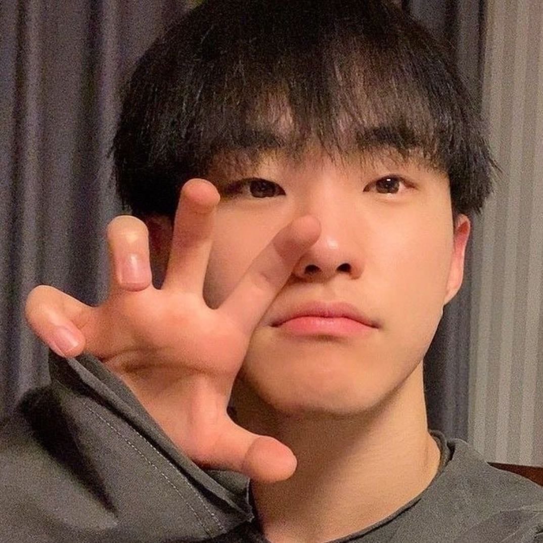 Seventeen Hoshi