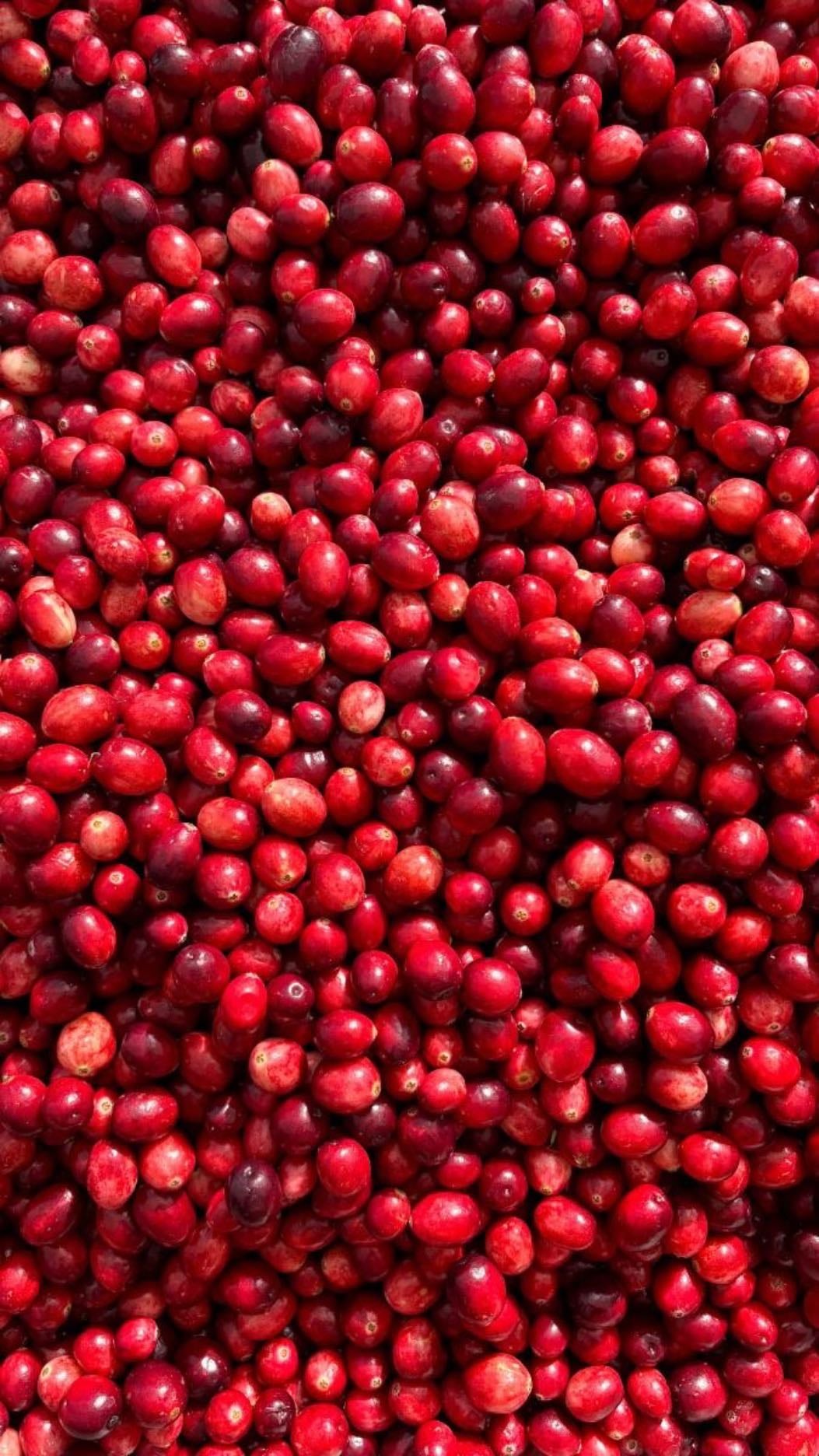 Pomegranates - Pomegranates are rich in antioxidants, support heart health, help reduce inflammation, and promote healthy skin and circulation.