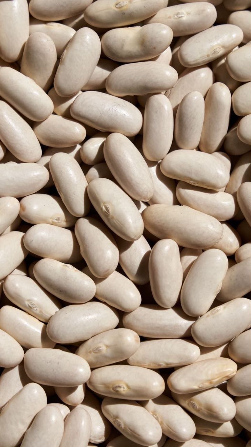 Beans (All Sorts) - Beans are rich in plant-based protein and fiber, support heart health, help stabilize blood sugar, and promote healthy digestion.