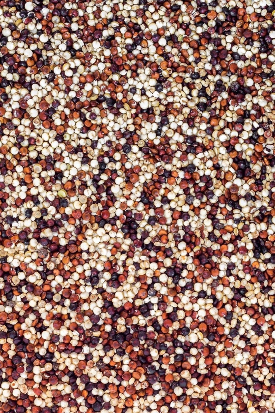 Tri-Color Quinoa - Tri-color quinoa is a nutritious blend of white, red, and black quinoa, rich in plant-based protein, fiber, and essential minerals, supporting digestion, energy levels, and overall wellness.