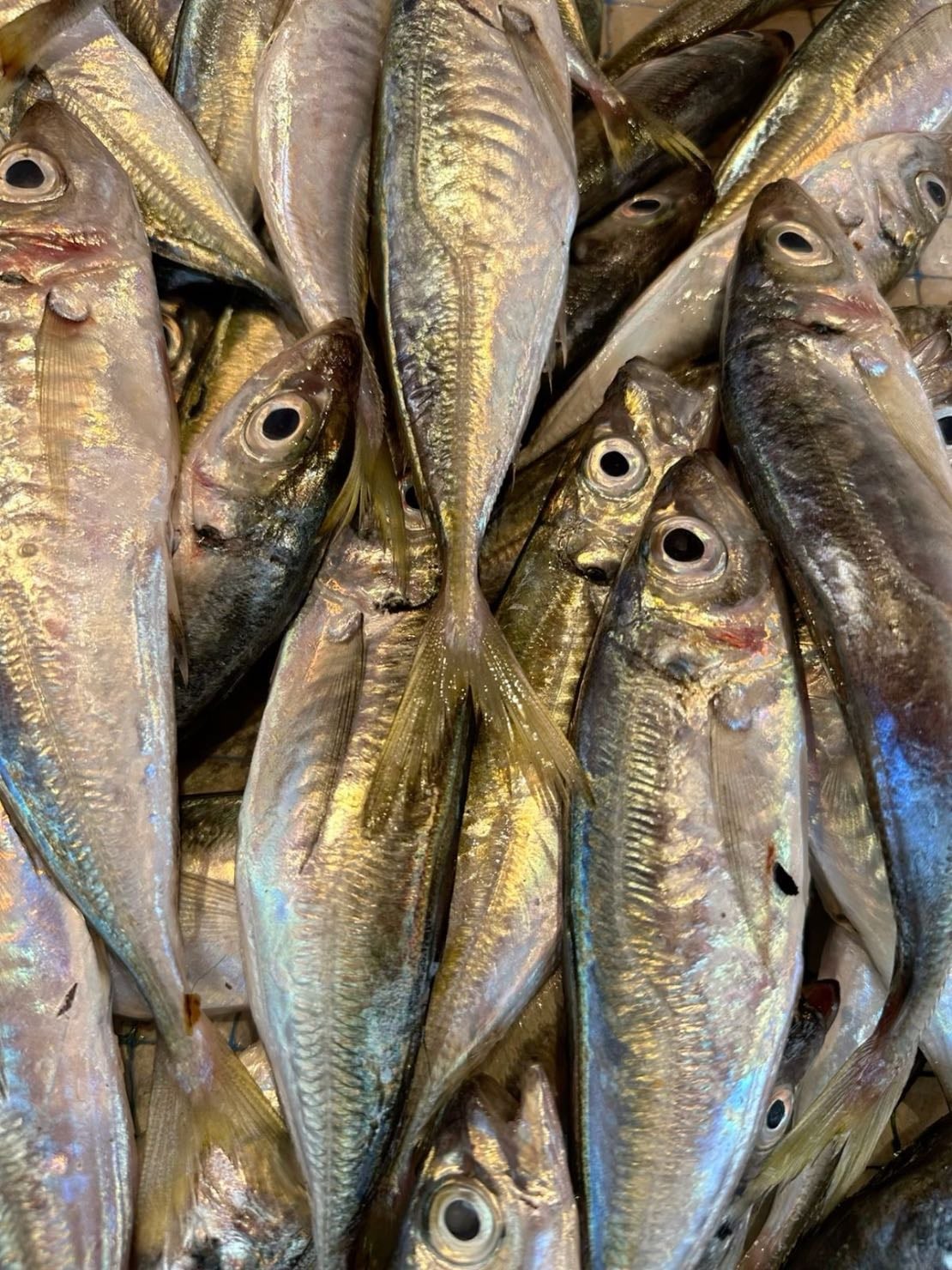 Lean Fish (Several times a week) - Lean fish are a source of high-quality protein, are low in fat, and provide important nutrients that support overall health, including heart and brain function