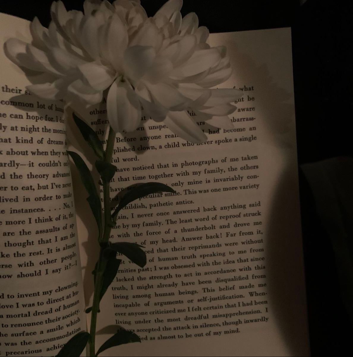 Books. (English)
