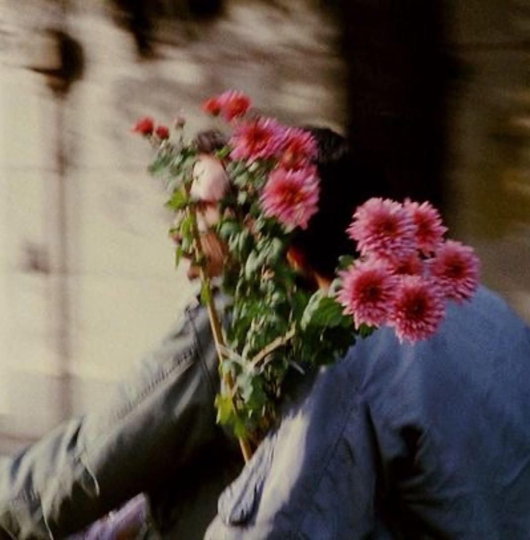 Films ⎚-⎚✮