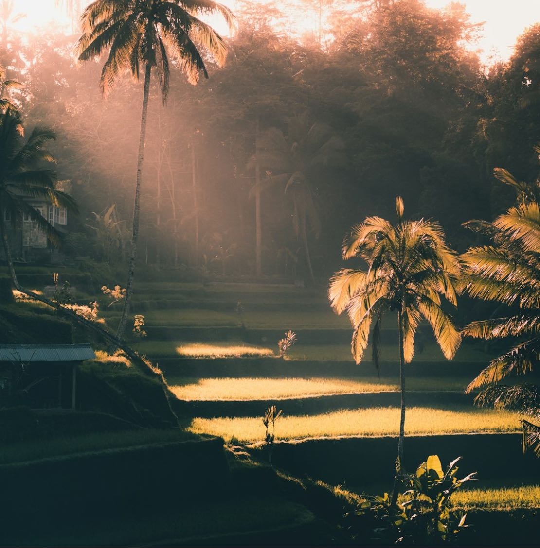 Bali | Food • Experience - Places hypelist by joey