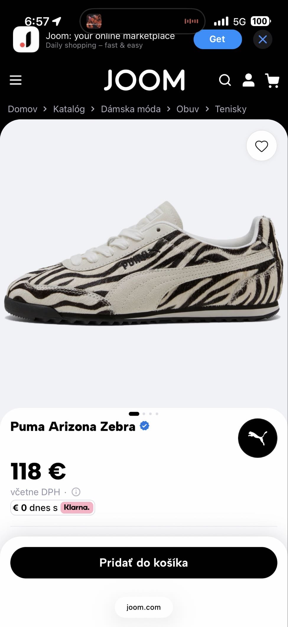 puma arizona zebra