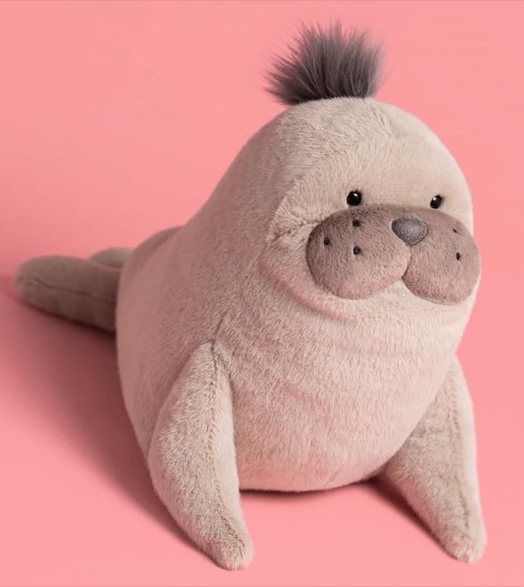 sea lion