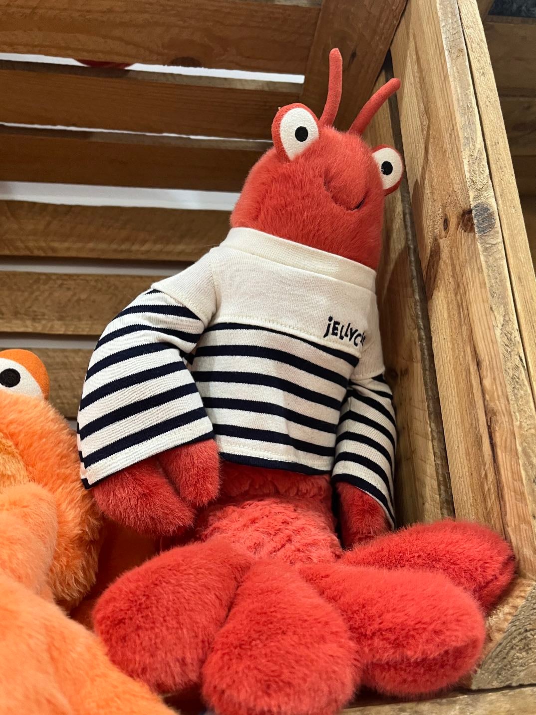 lobster with sailor outfit