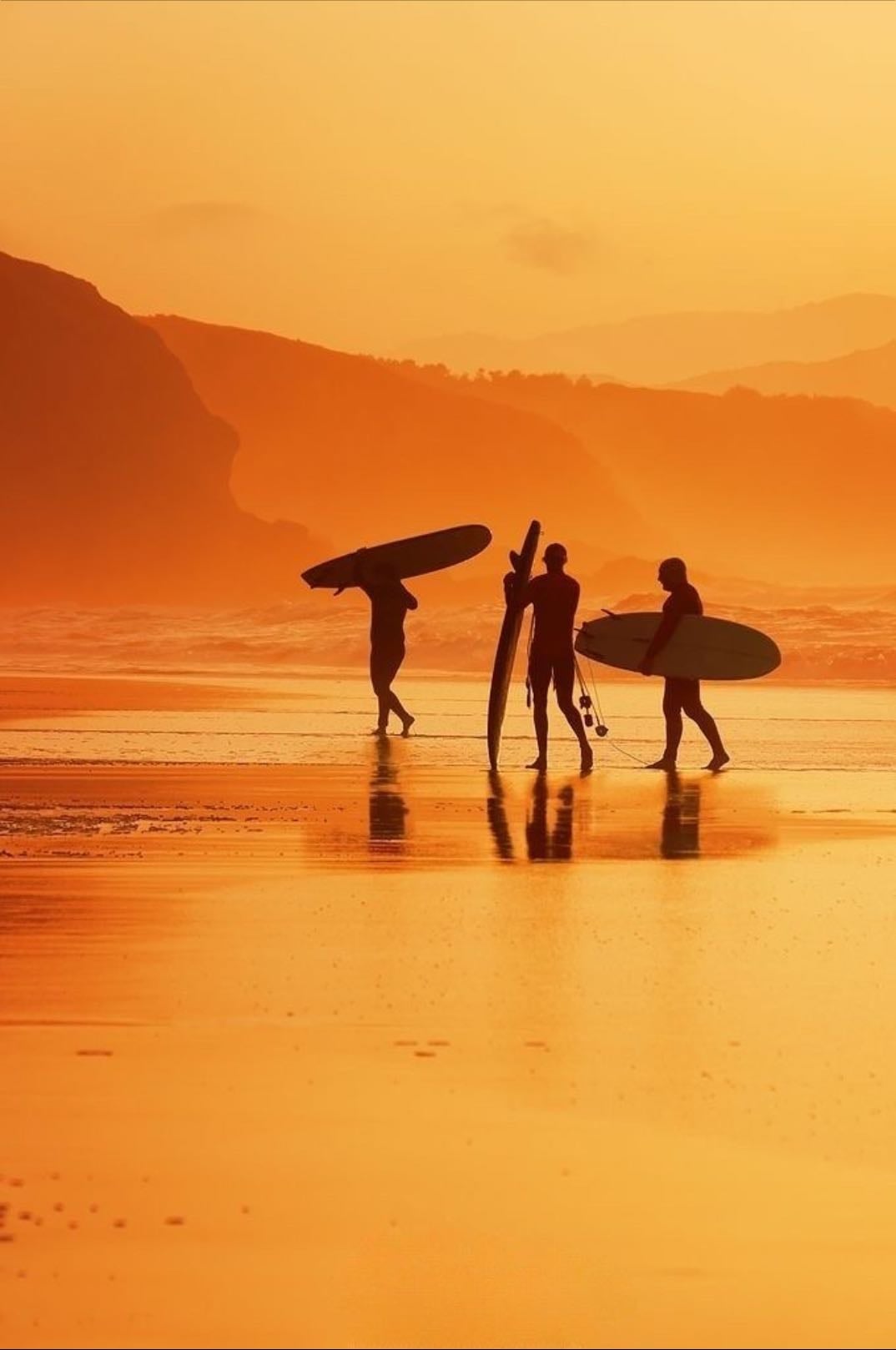 learn how to surf