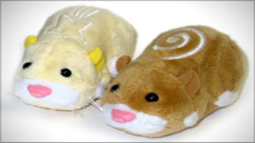 Robot Hamster