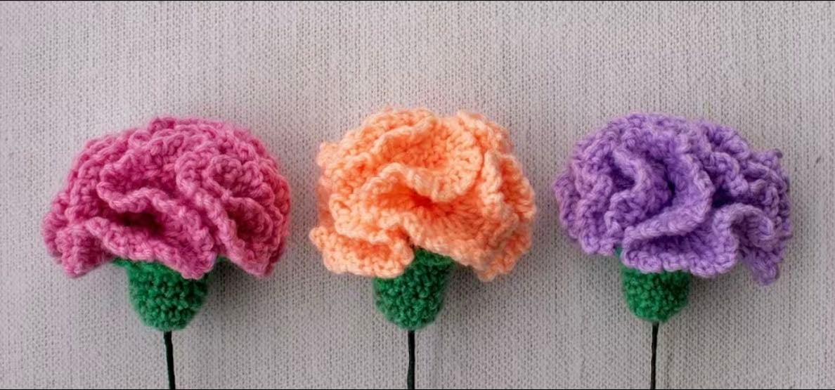 Carnations