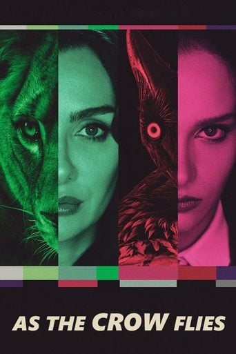 As the Crow Flies - Meriç Acemi · 2022